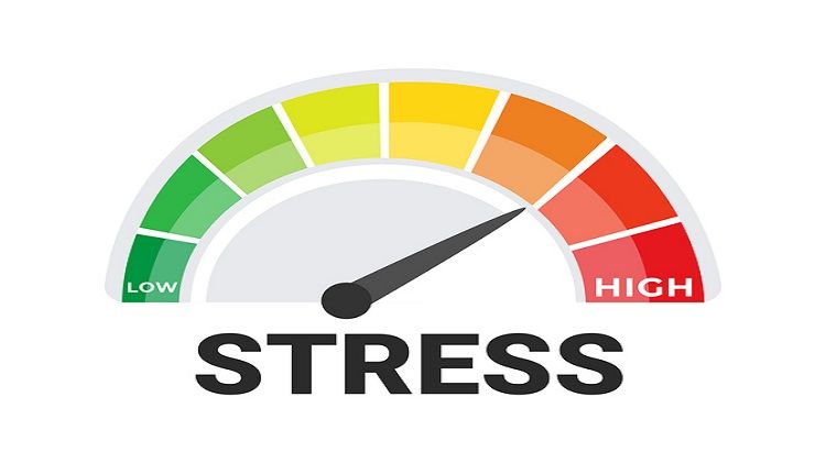 Stress Scale